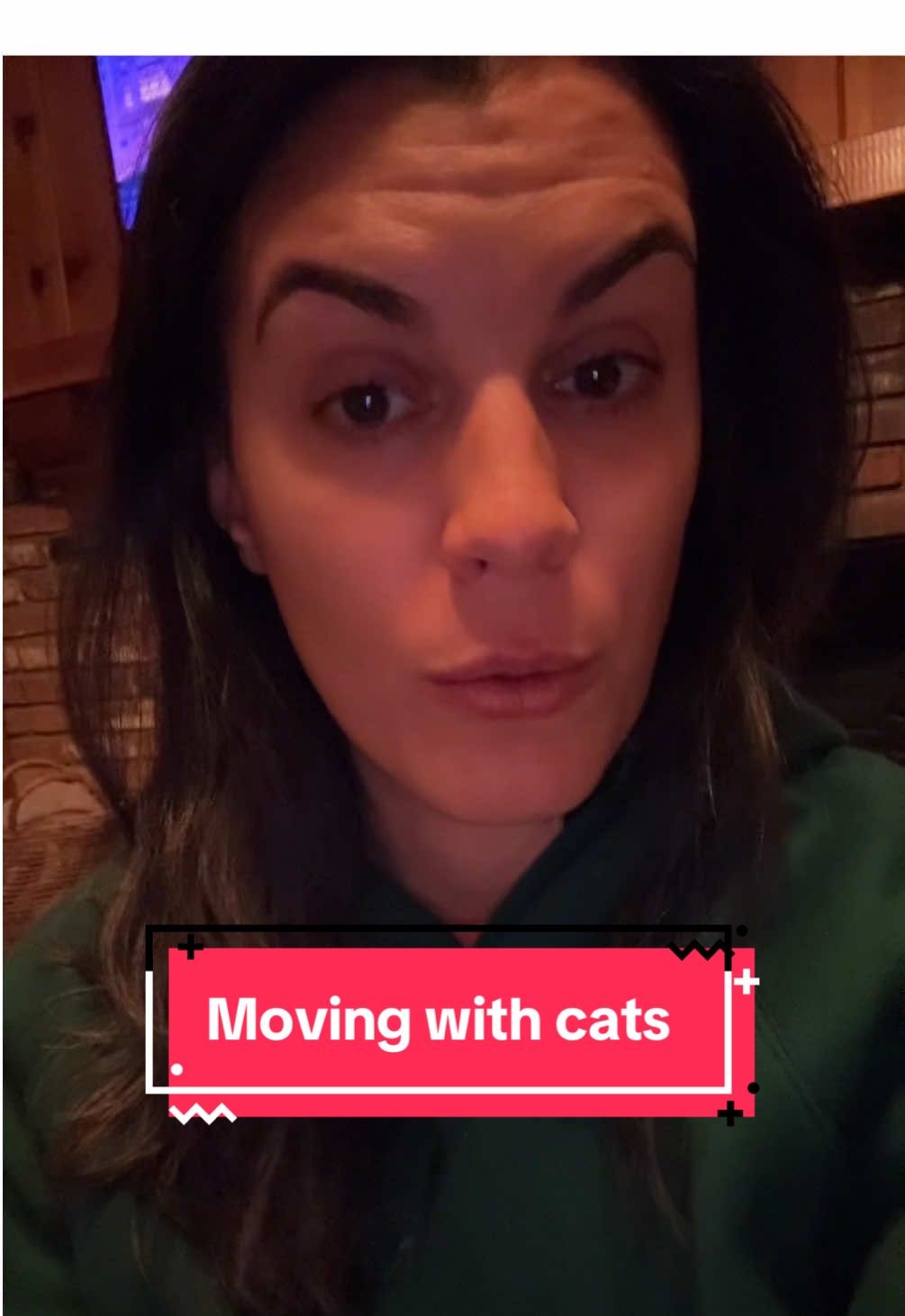 Genuinely starting to get worried and looking for any reassurance that this is normal behavior #cats #cattok #moving forward