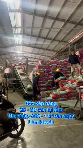 Bốc hàng #xuhuong #laocai #hagiang #laichau #yenbai 