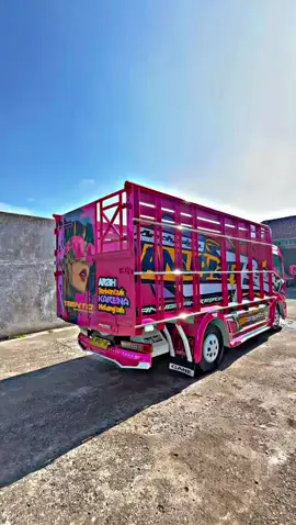 #fyp #fypシ #platk #giganesiaindonesia #giganesia🇮🇩 