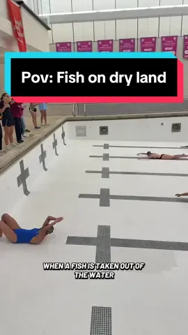 Swimmers gotta swim 🏊🏼‍♂️ . . #hamlineswimdive #hamlineuniversity #d3swimanddive #foryoupage 