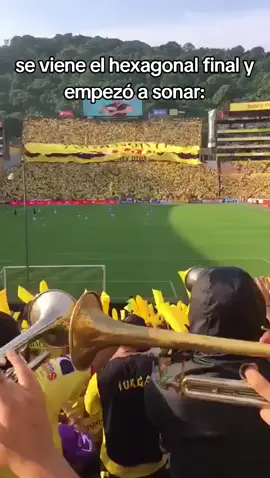 #barcelonascoficial #barcelonasc #guayaquil #ecuador #bsc 