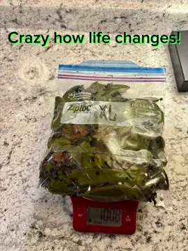 #foryourpage #perequito #newmexico #newlife #amor 