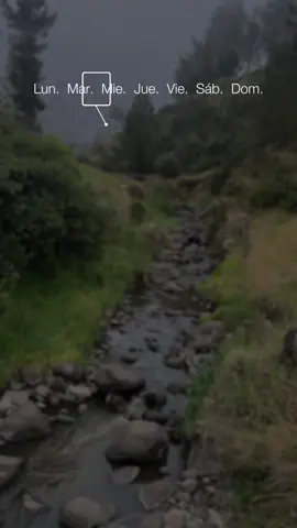 #CapCut #fe #fyppppppppppppppppppppppp #paratiiiiiiiiiiiiiiiiiiiiiiiiiiiiiii #viernes 