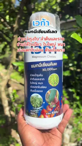 เวก้าแมกนีเซียม#แมกนีเซียมคีเลต #พ่นใบทุเรียน #ใบเขียวเข้มสมบูรณ์ #ฟีดดดシ 