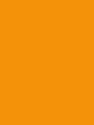 Crea logotipos, paletas de color y lineamientos de marca con Illustrator.