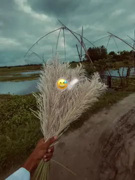 এইটাই হলো আমার মনের খবর 😅💔#foryou #foryoupage #fyp @TikTok 💔👍