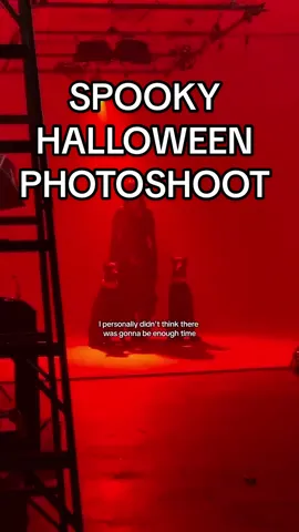 Let’s do a spooky Halloween photoshoot with my dogs🎃 #photoshoot #doberman #malinois #halloween 