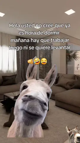 🤭🤣😂😂#humor #viral #fyp #paratiiiiiiiiiiiiiiiiiiiiiiiiiiiiiii #viralvideos 