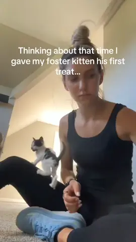 just lil kittens doing what they are best at 😂