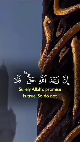 Do you not see the sings of Allah #CapCut#allahuakbar 