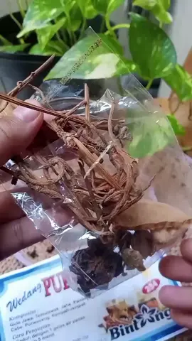 #khasdieng #wedangrempah #minumanrempah #purwoceng #wedanguwuh 