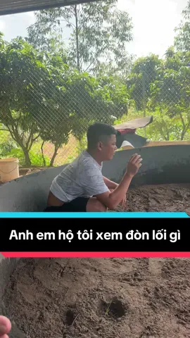 Cổ động viên gà quá mức #gachoivietnam #toiyeudongvat❤ #gadonvietnam #xuhuongtiktok 