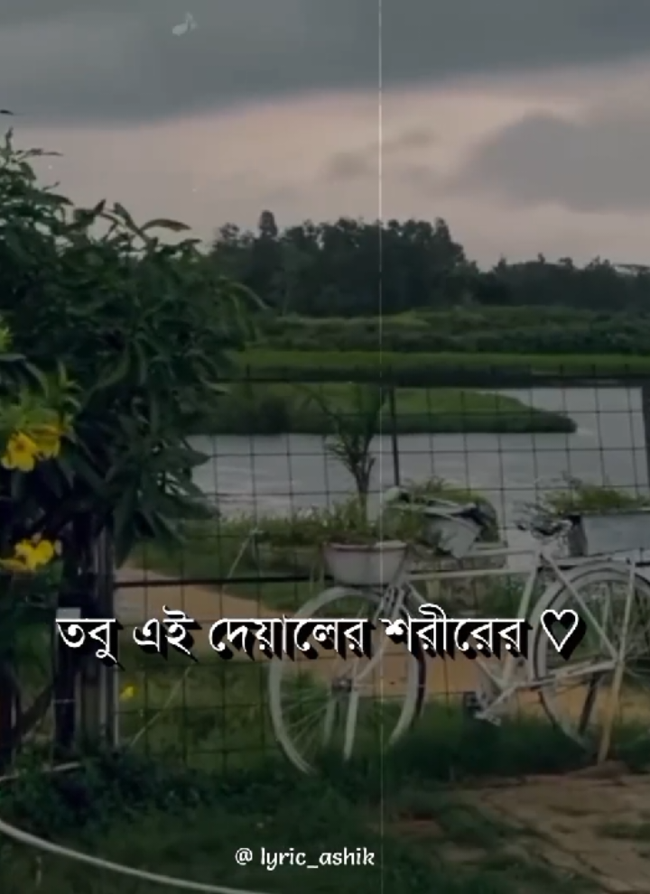 – তবু এই দেয়ালের শরীরের 😟😄                  – যত ছেড়া রং ধুয়ে যাওয়া মানুষ 😅🥲          .                                                                          .                                                                          #foryou #foryoupage #lyrics #aesthetic #lyricsvideo 