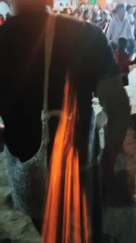 Disfruta el momento  nada es para siempre