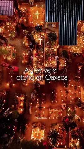 día de muertos en Oaxaca #diadelosmuertos #oaxaca #disfruta 