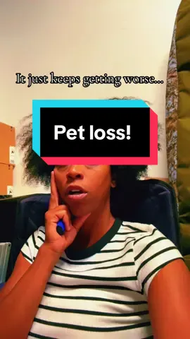 3 senior dogs, my middle girl I’ve had for 14 years is loosing her battle with cancer and kidney disease.  My children are a wreck and I’m trying so hard to keep it together for them!  #parentstruggles  #petloss #greif 