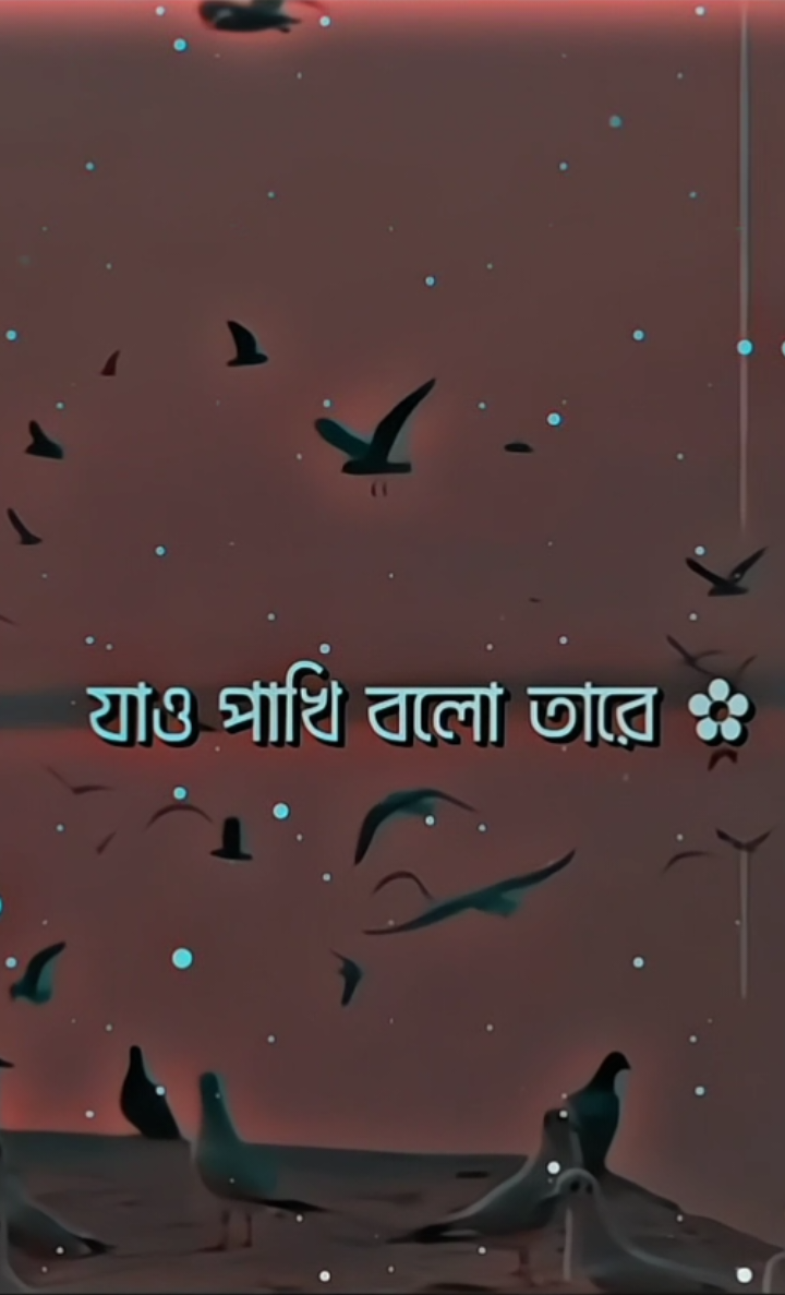 যাও পাখি বলো তারে #lyrics_songs #fyp #viral 