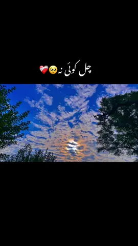 #pindawale #پنڈاں_والے #ساڈا_پنجاب🍁🥀 #foryou #1millionviews 