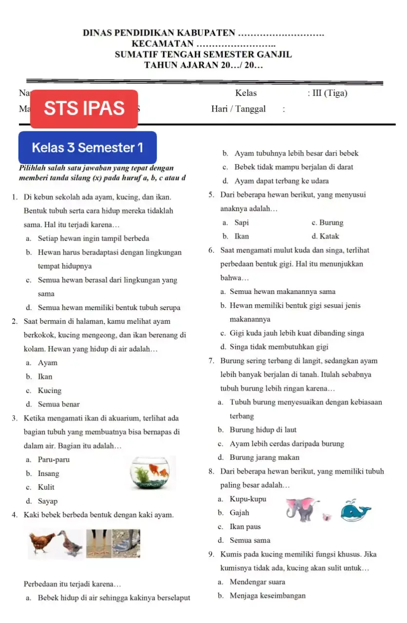 Soal, Jawaban, Kisi-kisi STS Kelas 3 IPAS Semester 1 #ipas #sumatiftengahsemester #soaldankuncijawaban #kelas3 #duniasekolahsd 