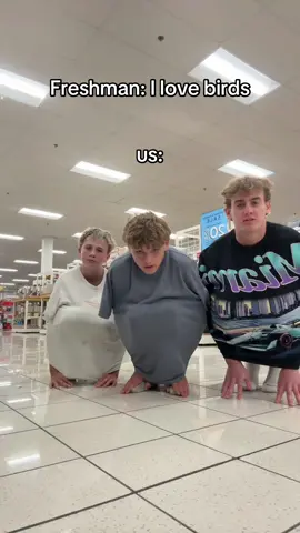 🦜 #freshman #birds #fyp #relatable #vog 