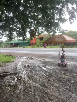 ដំណើរ ថ្មើរជើង ភ្នំពេញ 🔜 រតនះគិរី 