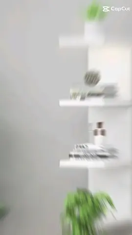 4 Tier Wall Shelf Display Floa#trendingvideo #budolfinds #foryou #fypシ゚viral #bestseller 