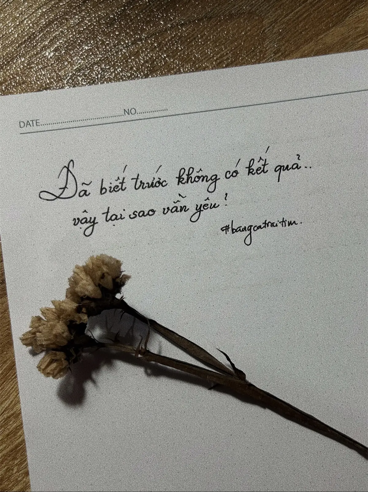 #bangcatraitim #chuviettay #quotes #caption #nhachaymoingay 