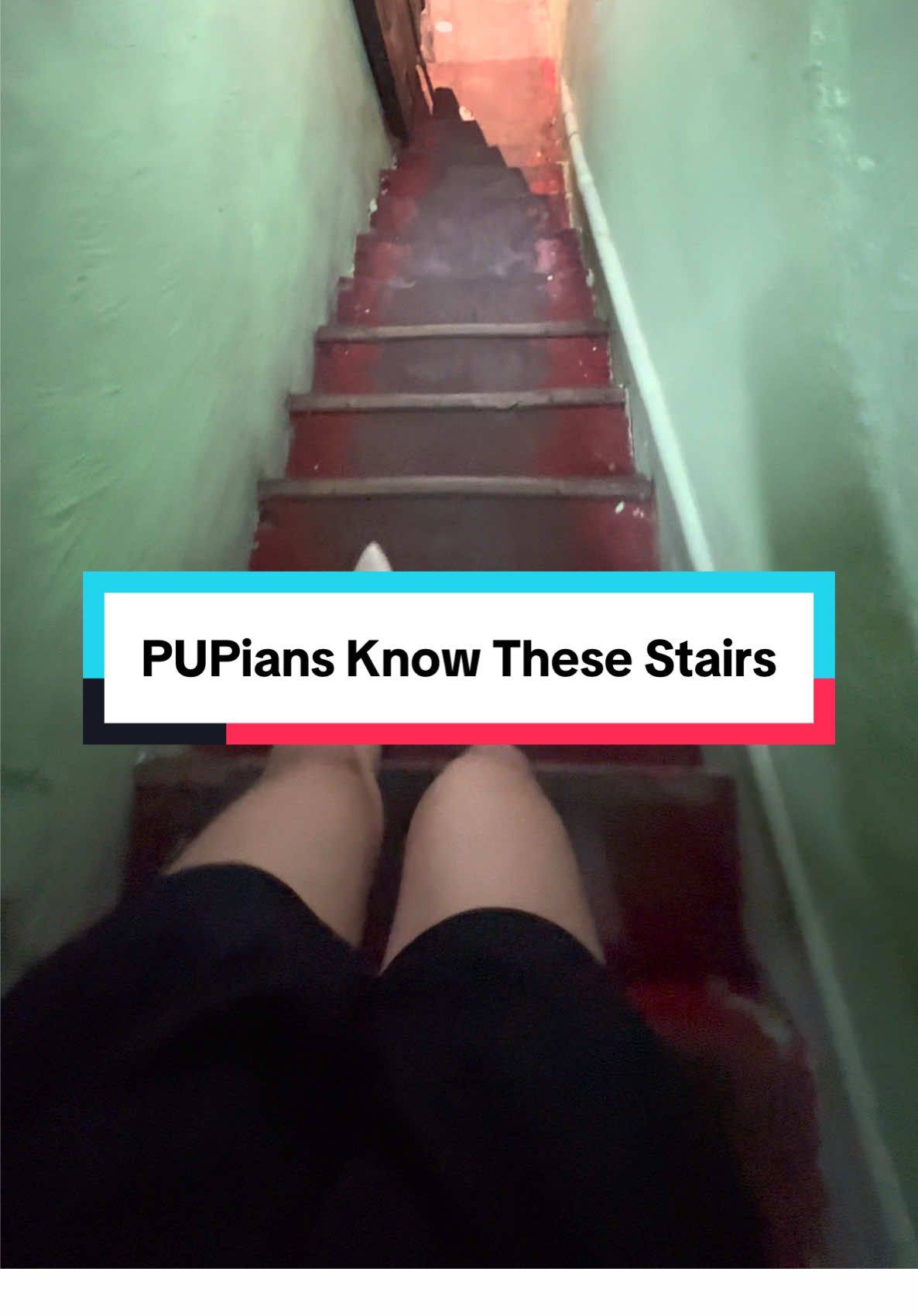 #polytechnicuniversityofthephilippines #iskolarngbayan #pupmanila #pup #fyp #trend #foryoupage 