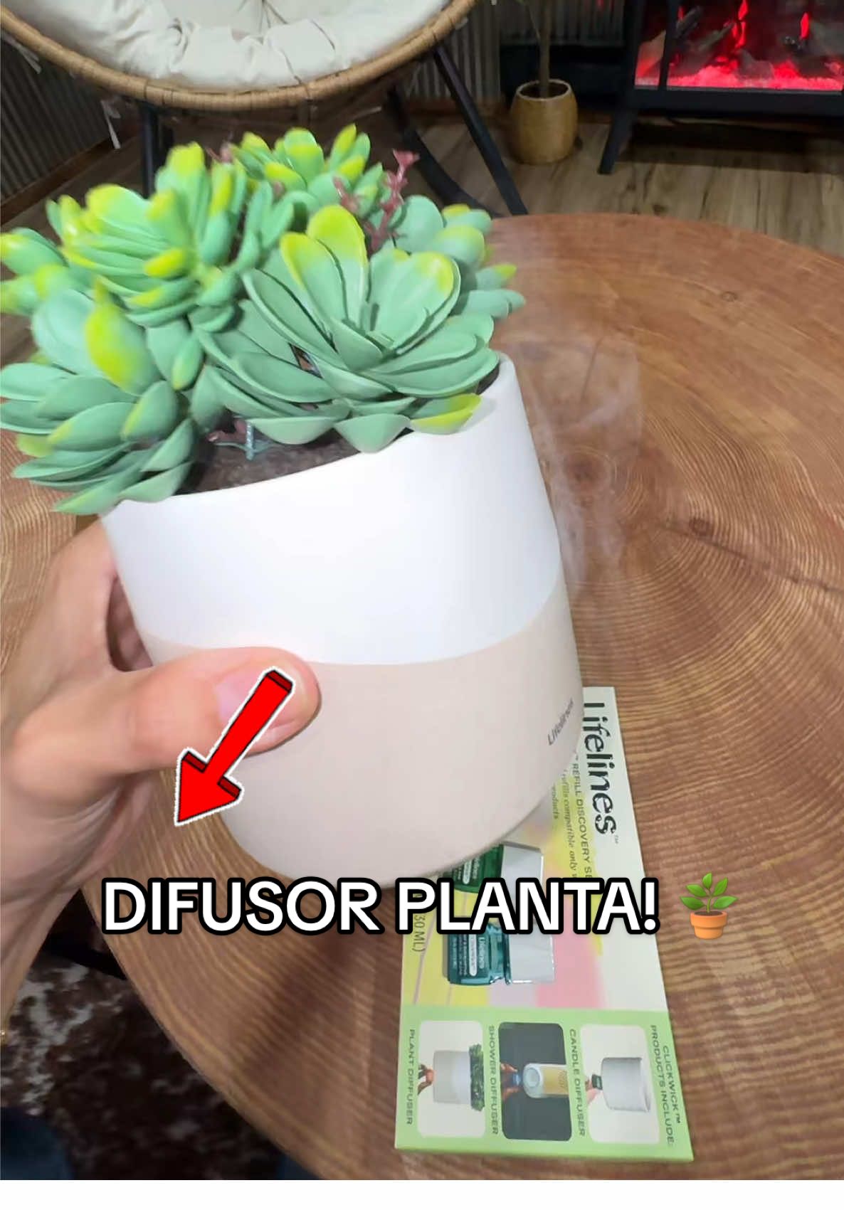 Difusor recargable en forma de planta artificial Lifelines, combina decoración y aromaterapia en uno solo. #QVCLifelines #AromaDiffuser #TikTokShopFinds #DecoraciónHogar #Aromaterapia 