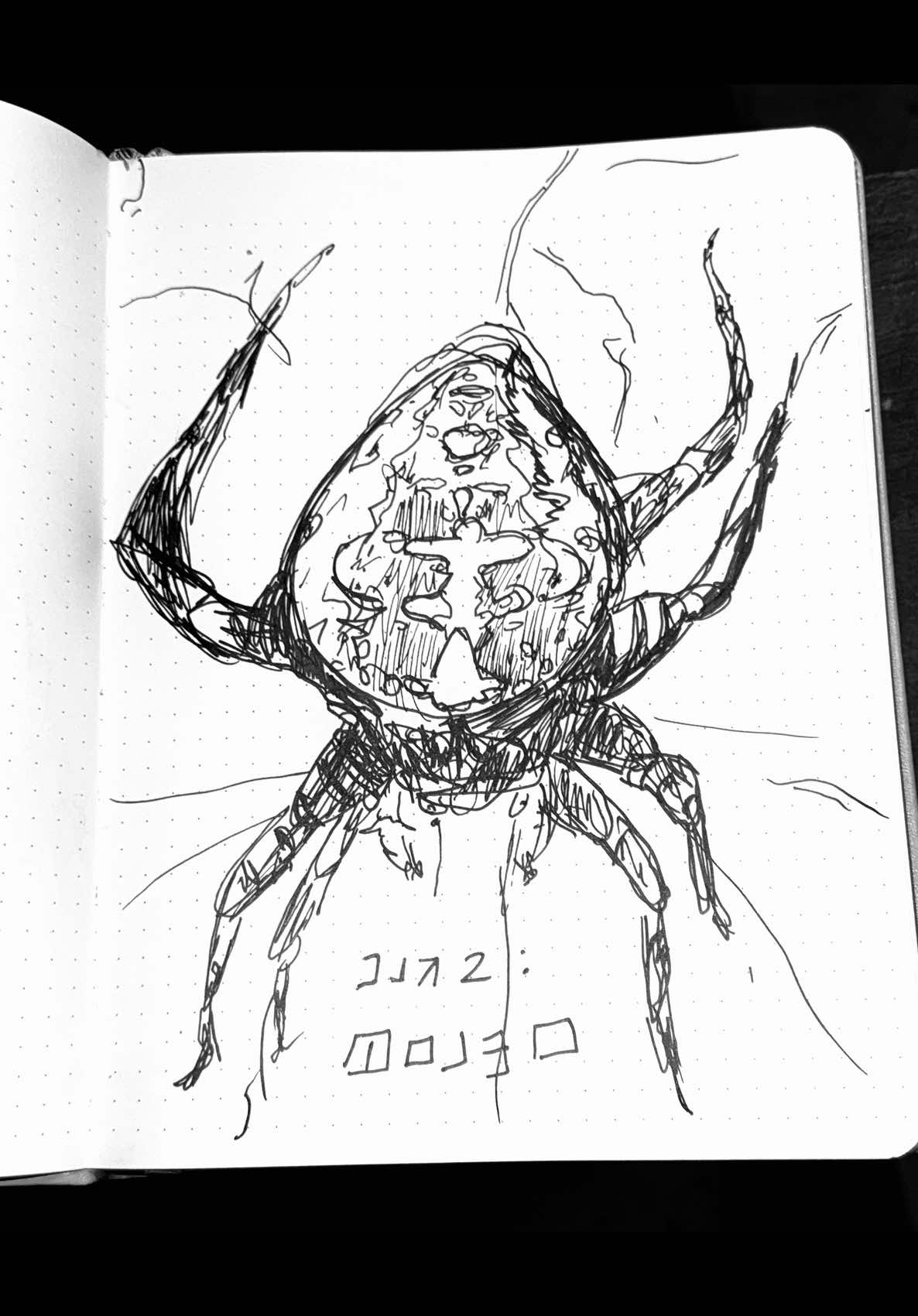 #Inktober2025 I got a pistachio croissant and a honey cinnamon latte plus they had WiFi but Qahwah house still my goat #paterson 