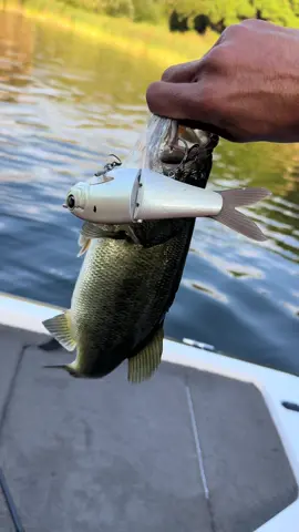 Got off work early and last minute sesh in with the brotha, broke in the new @York Casting Co  7” Galactic Threadfin🎣🔥 Had to get this thing in the water..ASAP🤘🏽 A fish is a fish!🤣 #Swimbait #glidebait #bass #bassfishing #bassboats 