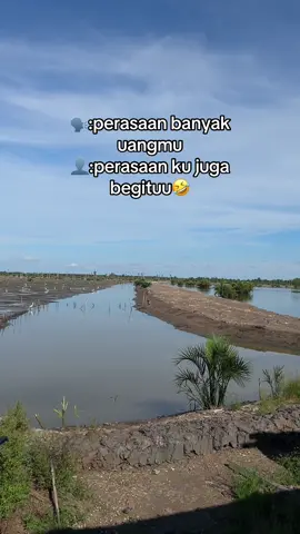 #petambakmuda #petambakkaltara🦐🐟🦀 #kulitamabk 