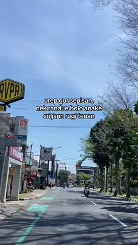 rugi tenan