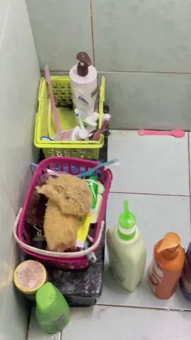 Bilik mandi kemas dan bersih 🥰 grab korang sebelum sold#fyp #rakbertingkat #rakbilikmandi #rakbertingkatmurah 