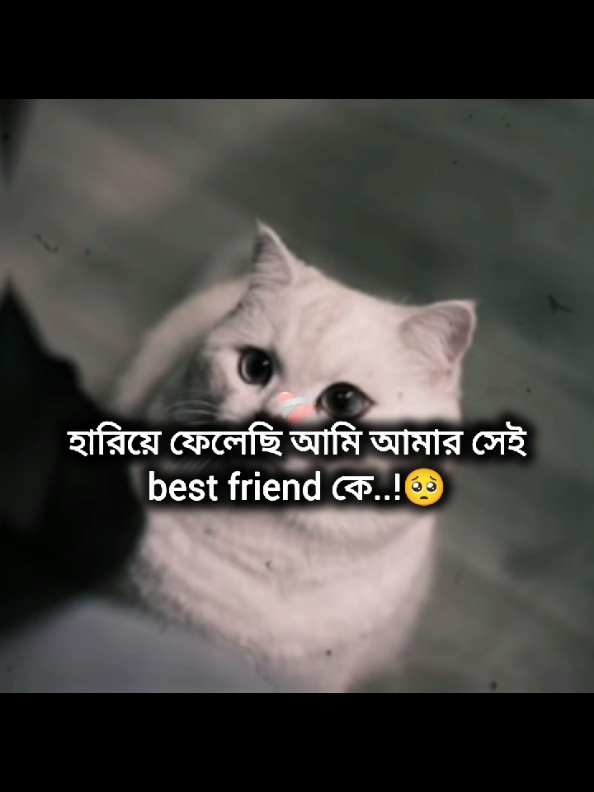 হারিয়ে ফেলেছি আমি আমার সেই Best friend কে..!😅💔#foryoupage #foryoupage🌸 #foryoupage🌸💝 #its_me_durjoy07 @For You @TikTok @TikTok Bangladesh 