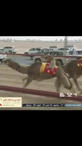 احتلال✈️🏆#هجن #بن_خموشه #هجن_الرياسة #اكسبلور #فوريو 