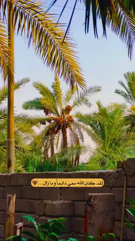#تصميم_فيديوهات🎶🎤🎬 #احبكم_يا_احلى_متابعين #ماكو_تفاعل😒💔_لعد_متابعين_بس_بالاسم #😔😔😔 #مشاهير_تيك_توك 