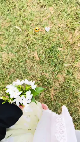 🥹🫶🏻🤍#unfrezzmyaccount #PUKHTANA #viralvideosofficial #needsupport #followme 