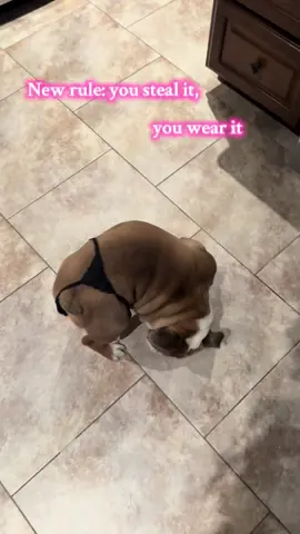 That’ll show him