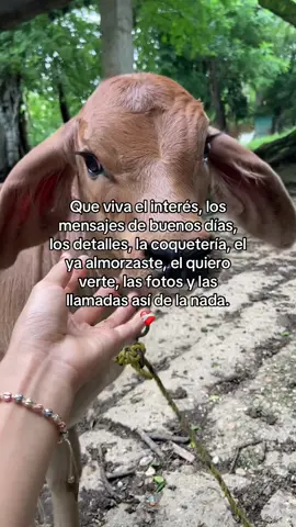 Que viva el interés, los mensajes de buenos días, los detalles, la coquetería, el ya almorzaste, el quiero verte, las fotos y las llamadas así de la nada❤️‍🩹. #fyp #fyppppppppppppppppppppppp #paratiiiiiiiiiiiiiiiiiiiiiiiiiiiiiii #ganado #novios 