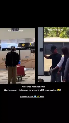 #wulei #leowu #leimai #angelzhao #zhaojinmai 