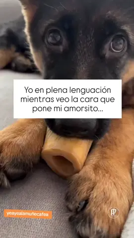 ven ....  #fyppppppppppppppppppppppp #viraltiktok ##comparte #