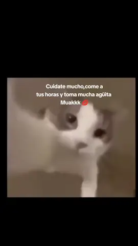 Mis mejores deseos para cada uno de vosotros 😺💋✨ #paratiiiiiiiiiiiiiiiiiiiiiiiiiiiiiii #gatitos #muak #frases #animo 