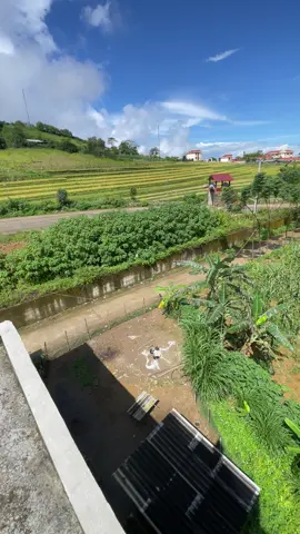 Nhà☺️#25laichâu #minhuyen 