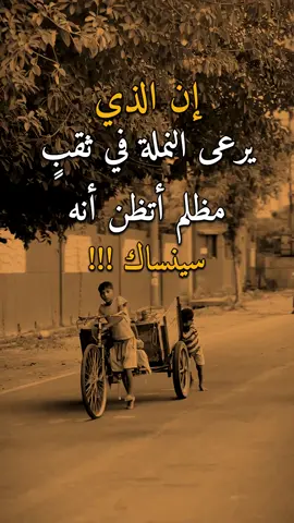 إن الذي يرعى النملة 👌✋ #عبارات #امير #اكسبلورexplore 