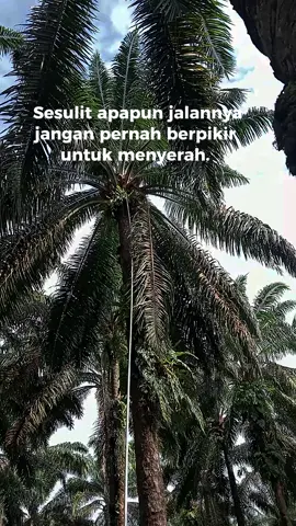 sesulit apa pun jalanya,jangan berpikir untuk menyerah.👍 #pyf 