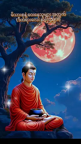 #တစ်ယောက်ထဲ #နေတက်အောင်ကြိုးစားပါ#တရားတော်များ #ကုသိုလ်ယူမျှဝေပါ၏ဘုရား🙏🙏🙏 