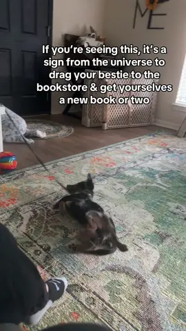 Time for a little bookstore coffee date with your bestie! #romancebooks #books #bookhumor #bookhumor #puppy 