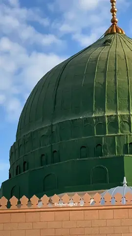 #creatorsearchinsights #tik_tok #fouryou #fyp #goviral 