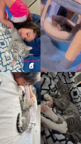 #miamores #cat #mibebe #mamagatuna #mamaprimeriza 